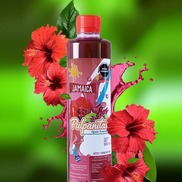 PULPANITA SABOR JAMAICA 500 ML.